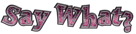 Say_What