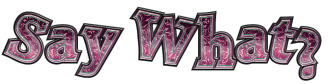 Say_What