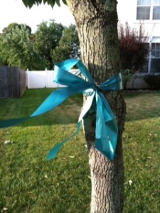 The ribbon to support Ovarian Cancer Awareness on my Neighbor's tree.