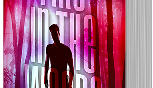 Fire in the Woods is up for an award!