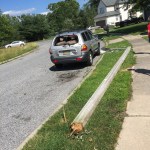Streetlight snapped. This car has no rear window. Not sure if it fell on the car
