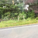 More power lines laying on the ground