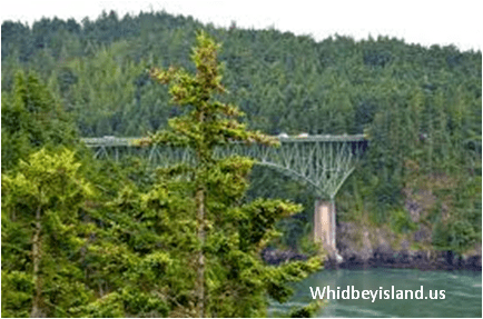 whidbey-island-1-jpg